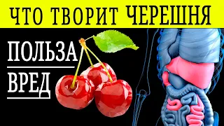 Что творит ЧЕРЕШНЯ с организмом? Черешня ПОЛЬЗА и ВРЕД!