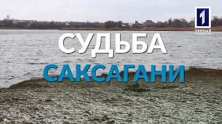 Зелёная стратегия: Судьба Саксагани