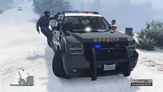 Have the cops ever done this to you in GTA online?