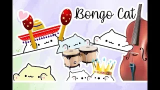 Bongo Cat Plays Different Instruments Music Video 🎶