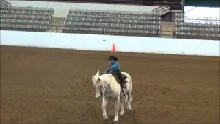 Wyatt Deary Short Stirrup Champion Katy, TX March 2011