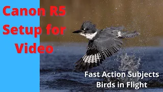 Canon R5 Set up for Video - Birds in Flight