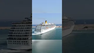 What Happens If You Fall Off A Cruise Ship?