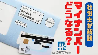 マイナンバーの最新動向を解説！健康保険証や運転免許証に？これからどうなる？【社労士が解説】