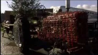 Tractors Decorated for Christmas Parade - America's Heartland