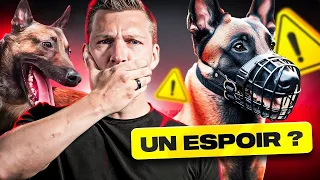 Quand un malinois devient incontrôlable ! - SOS Educ Dog Episode 4