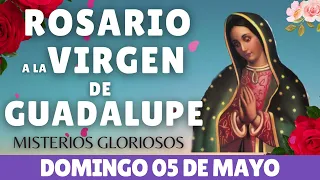 ✅💝SANTO ROSARIO A LA VIRGEN DE GUADALUPE HOY DOMINGO 📿 05 DE MAYO FE 📿 Catolica oficial 💝