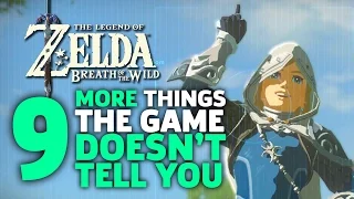9 More Things I Wish I Knew Before I Started Zelda: Breath of the Wild