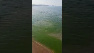 Анапа, Море 🌊 Фея 3, вода теплая но зеленая!!! 25.08.2023 год!!!