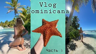 VLOG:Остров САОНА🏝|Морские звёзды🤩| Сильно ОТРАВИЛАСЬ!🤢|КАК Мы встретили НОВЫЙ ГОД🎄