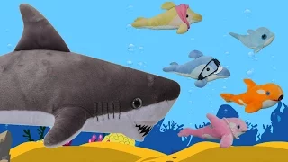Baby Shark Nursery Rhyme for Kids | Animal Songs