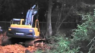 Volvo excavator taking down cypress tree