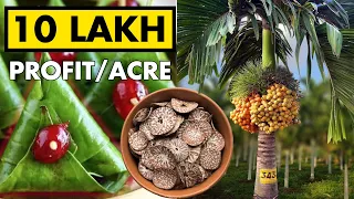 Arecanut (Supari) Farming | Betel Nut Cultivation