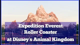 Expedition Everest Roller Coaster at Disney's Animal Kingdom 2020