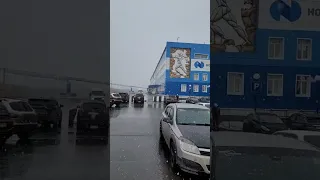 Снежок