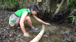 Exciting Fishing - Detecting fish in lake, Use water pump to catch fish. Harvesting lot of big fish