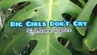 Big Girls Don't Cry (Nightcore Lyrics)