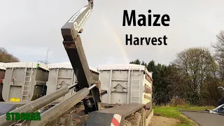 Maize Harvest with Stronga, John Deere & New Holland in Southern Germany