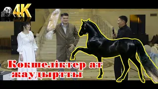 😆Мейрбек Байшагиров 🐴Ат жауған той🦅 ТОЙДЫ ЖАРҒАН🤣! #СабыржанСупер #ТойМейрбекБайшагиров #Супертам