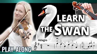 How to play The Swan | Violin Play Along with FREE Sheet Music