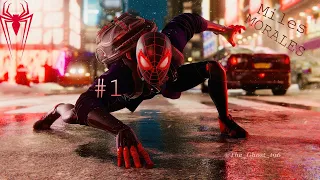 Marvel's Spider Man  Miles Morales #1 ЧЕЛОВЕК ПАУК JR