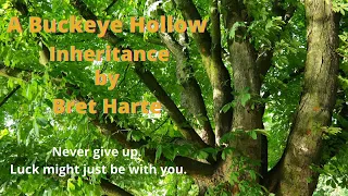 A Buckeye Hollow Inheritance by Bret Harte | Never Give Up | Story Analysis