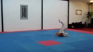 Master Qin Scorpion Demo Nov 2011.MOV