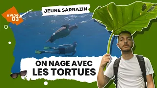 GUADELOUPE ON NAGE AVEC LES TORTUES 🐢 #VLOG3