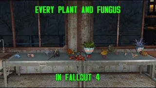 The Flora and Fungi of Fallout 4