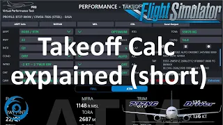 Takeoff Performance Calculation (Short Version) | Real 737 Pilot explains
