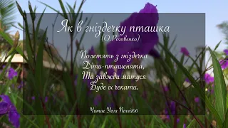 Як в гніздечку пташка (О. Роговенко) Вірш про маму Читає Yeva NAVSI100