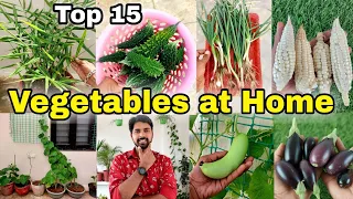 15 Easy Vegetables you can grow at Home/pot | Small space kitchen garden at home