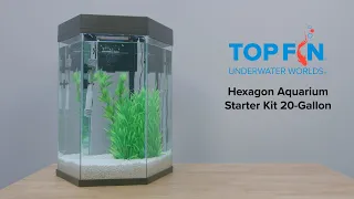 Top Fin Hexagon #Aquarium Starter Kit Setup, 20-Gal | YouTube