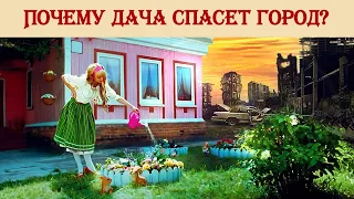 Почему дача спасет город?