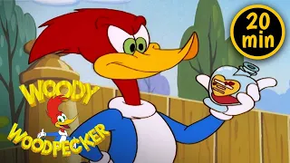 Love Potion | 3 Full Episodes | Woody Woodpecker