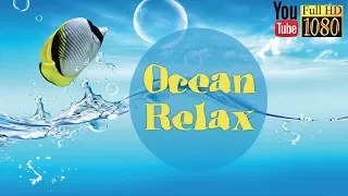 9 hours 🎵639 Hz 🎵 Soft Lounge Music Calming Ambient Melody for Daily Relax 🎵 Background Music