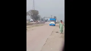 Train hits the donkey.