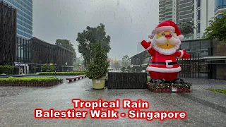 Singapore Tropical Rain Walk (Balestier neighbourhood)