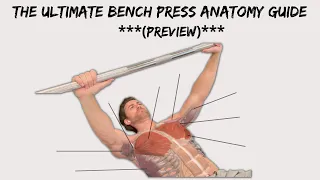 Preview - The Ultimate Bench Press Anatomy Guide