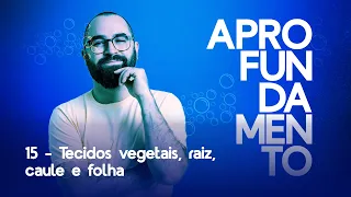 Tecidos vegetais, raiz, caule e folha - Aprofundamento 15