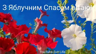 З Яблучним Спасом вітаю! 19 серпня З Преображенням Господнім! Зі святом! Щастя  благополуччя та миру