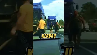 Cari Pasal Dengan Abang Lori 😱 Menyesal Terus Lari