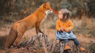 Facts you didn't know! Documentary About the Foxes - Planet of Animals 1080 - FULL HD