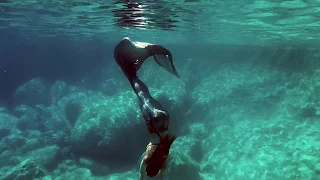 Do You Believe In Mermaids? | Stella the Siren