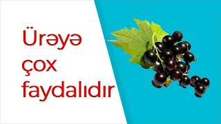 Qara Yemişanın Faydaları - Ürəyə çox faydaları var