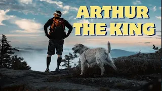 Arthur the King 2024 Full Movie Review | Mark Wahlberg And Nathalie Emmanuel