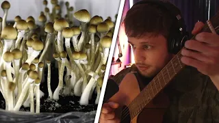Fitz Shares His Amazing Solo Trip on Shrooms