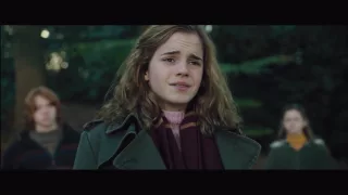 Harry and Neville at the Lake - Harry Potter and the Goblet of Fire [HD]