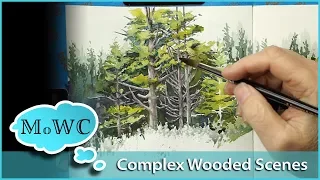 Painting a Complex Wooded Area – The Perfect Sketchbook