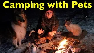 Winter Camping with my CAT & DOG | Bushcraft Shelter